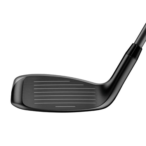 Apex Hybrid