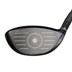 Driver Big Bertha B21