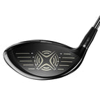 Driver « Big Bertha Fusion Heavy »