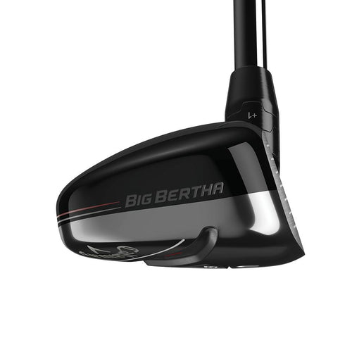 Hybride Big Bertha 19