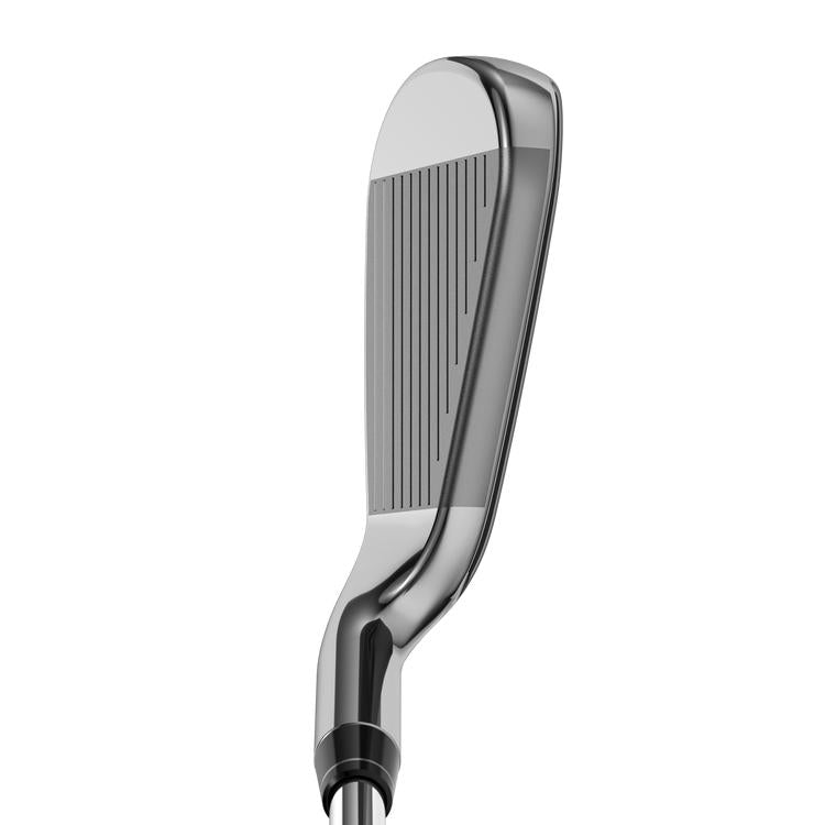 Big Bertha Irons