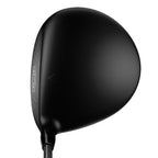 Great Big Bertha Driver