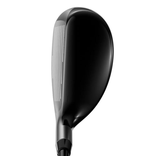 Apex Pro 21 Hybride