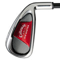 Big Bertha Irons (2008)